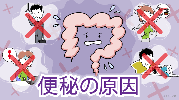 便秘の原因SP