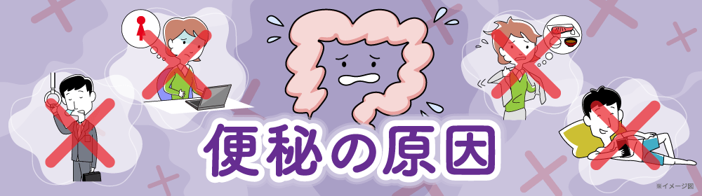 便秘の原因PC
