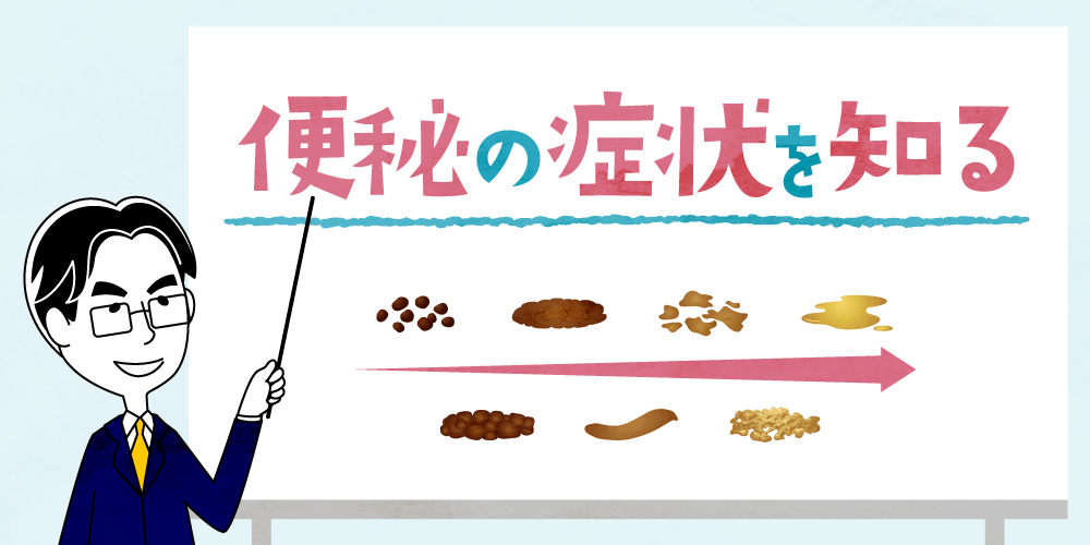 便秘にはどんな症状がある?腸のしくみや主な原因から医師が解説。 | 便秘とは? | イーベンnavi
