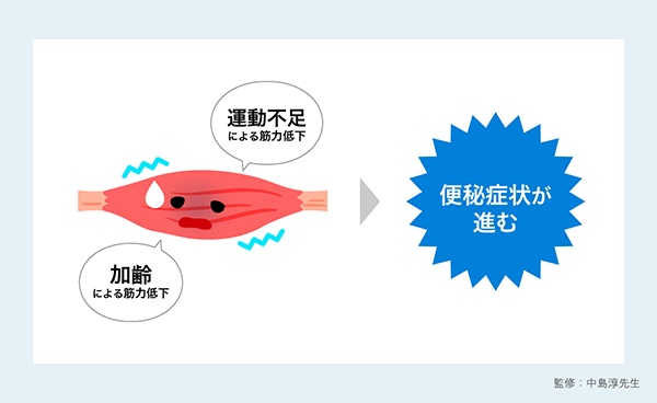 「運動不足による筋力低下、加齢による筋力低下により便秘症状が進む」イラスト